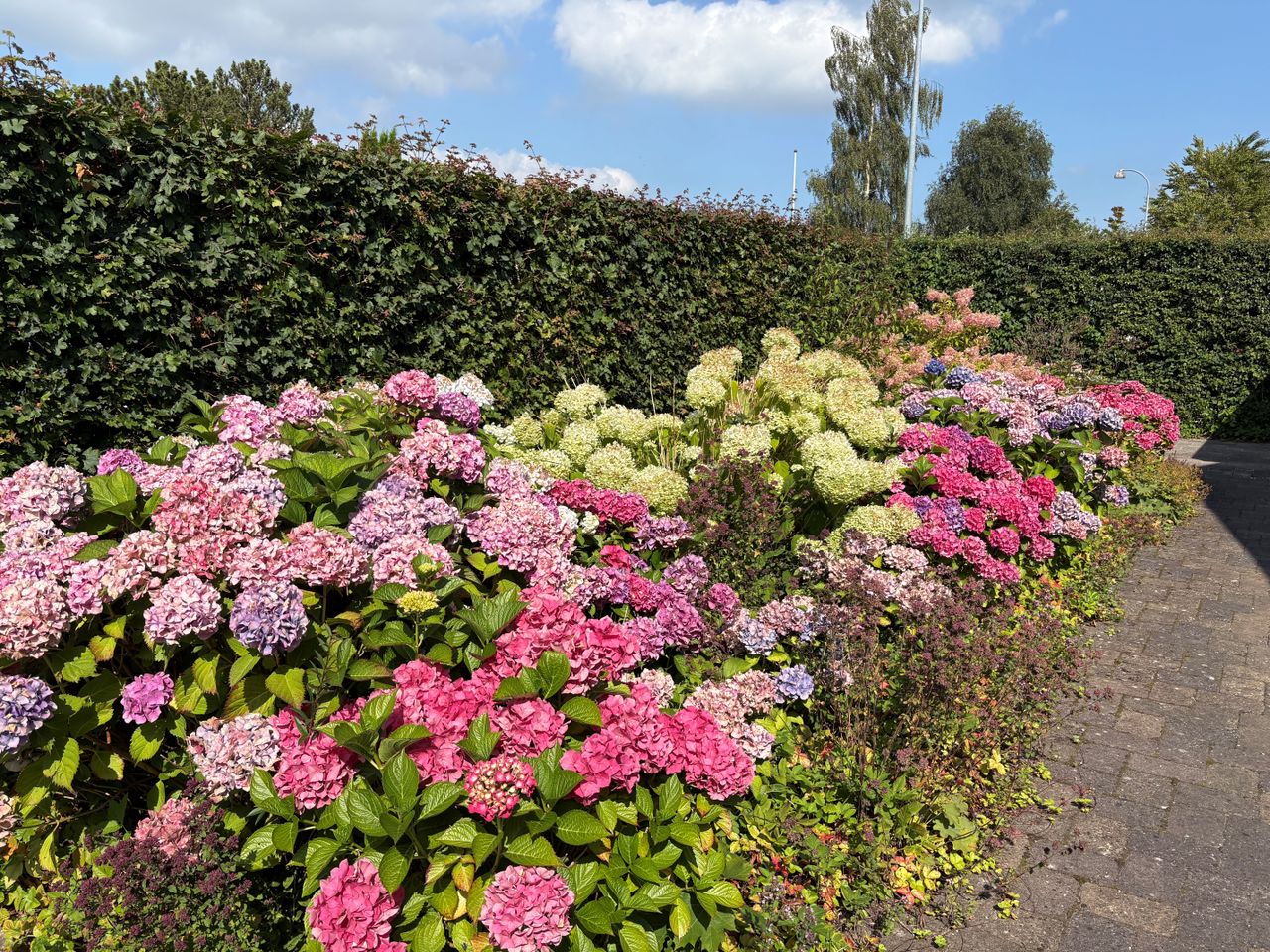 image 02